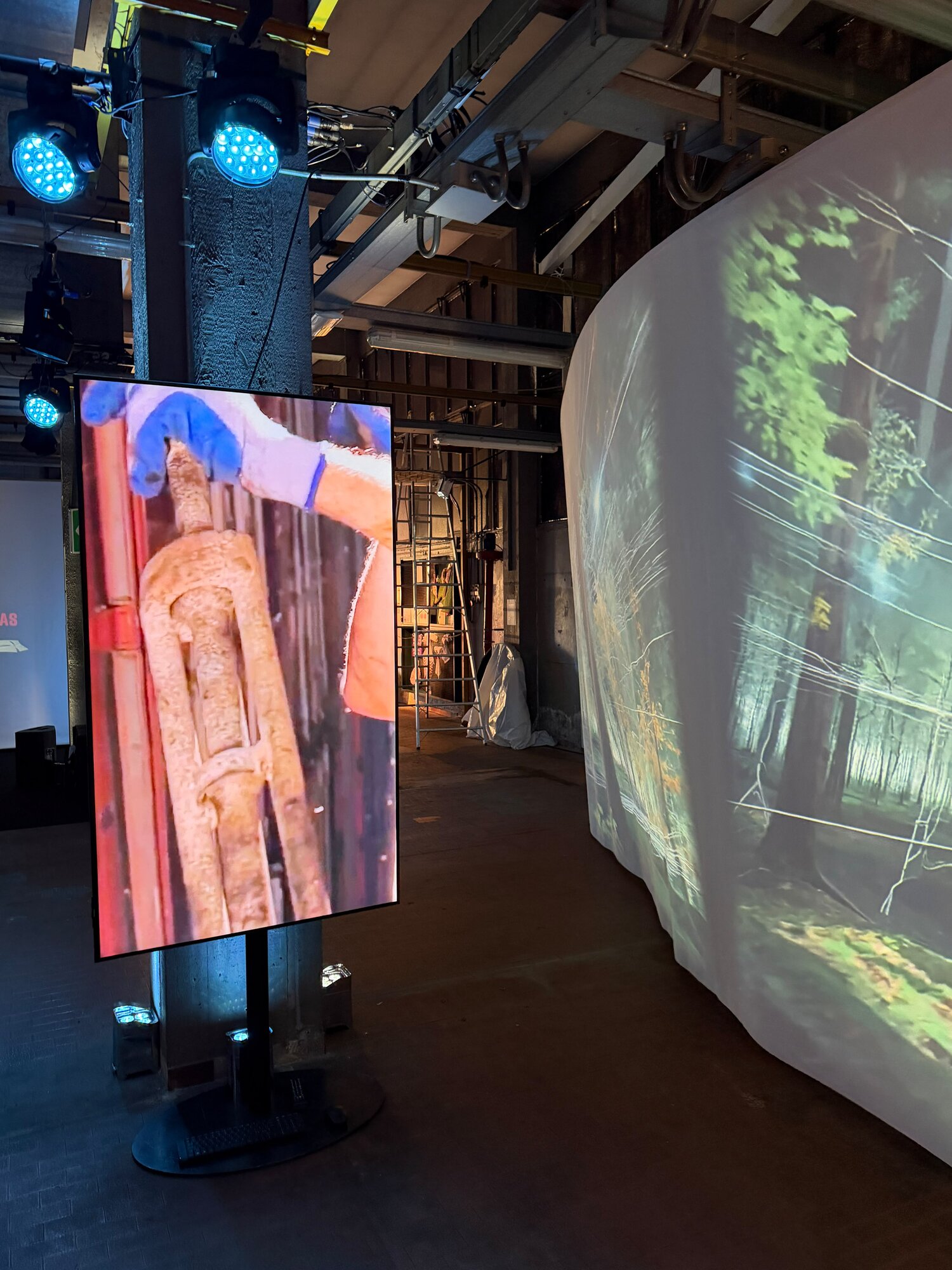 SYMBIOTIC installation with a vertical screen and a forest projection in the raw industrial space